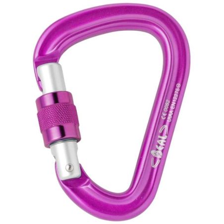 Carabiniera Beal Be Safe Screw Beal - 2