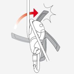 Coborator Petzl RIG Petzl - 3