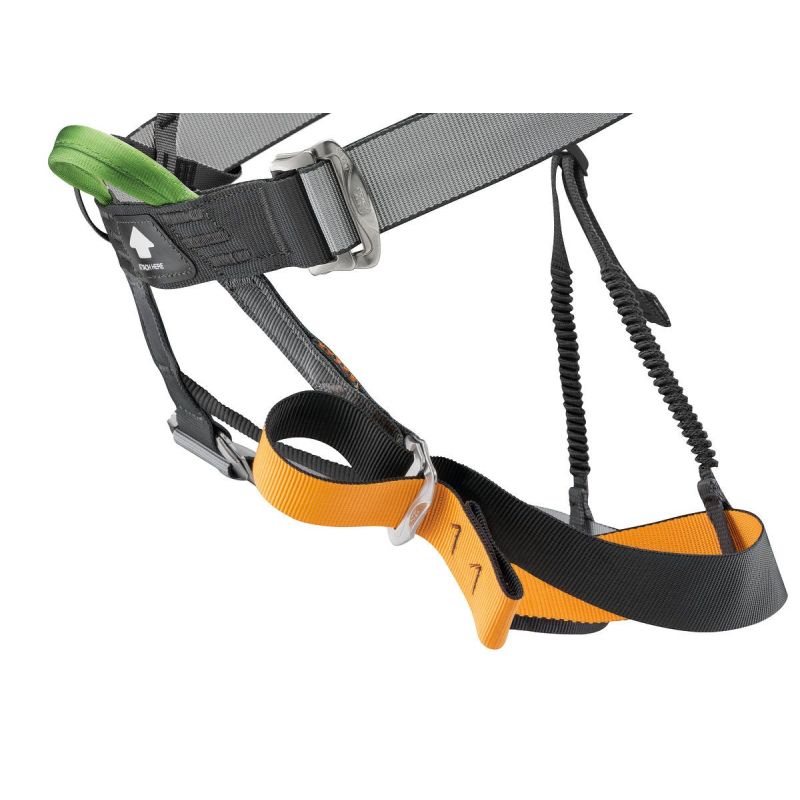 ham Ham Petzl Panji
