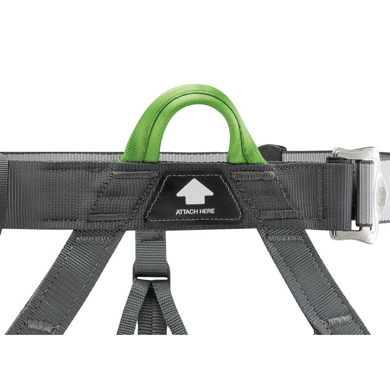 ham Ham Petzl Panji