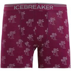 Boxeri Icebreaker Anatomica Man SS23 Icebreaker - 12