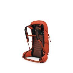 Rucsac Osprey Talon Pro 30 Osprey - 2