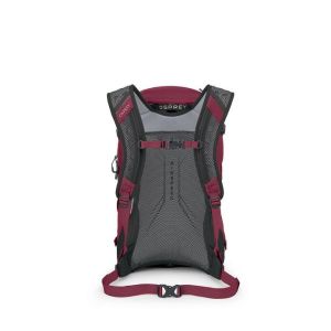 Rucsac Osprey Hikelite 26 New 2024 Osprey - 21
