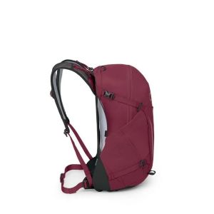 Rucsac Osprey Hikelite 26 New 2024 Osprey - 19