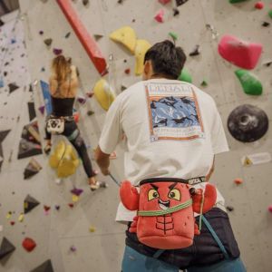 Sac magneziu YY Vertical Lobster YY Vertical - 4