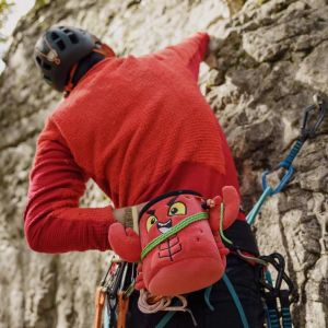 Sac magneziu YY Vertical Lobster YY Vertical - 5