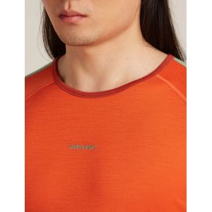 Bluza Icebreaker Oasis LS Crewe 200 Icebreaker - 6