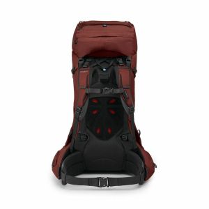 Rucsac Osprey Aether 65 Osprey - 9