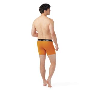 Boxeri lana Smartwool Active Brief Smartwool - 2