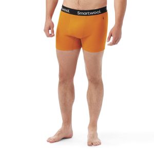 Boxeri lana Smartwool Active Brief Smartwool - 3