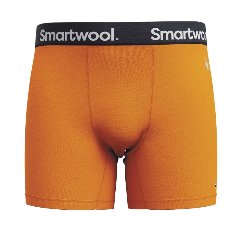 Boxeri lana Smartwool Active Brief Smartwool - 1