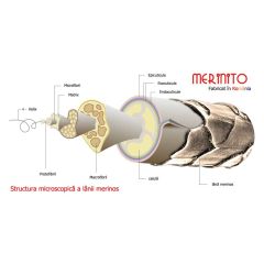 Tricou barbatesc Merinito 150-160g 100% merino superfine Merinito - 6