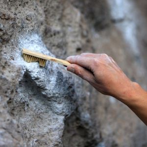 Perie din lemn Metolius Metolius - 2