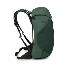 Rucsac Osprey Hikelite 30 LT NEW 2026 Osprey - 17